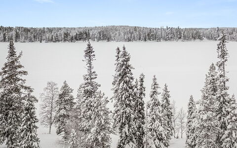 Aino: Holz, Hütte, Blockhaus, Wald, Schuppen, Gartenbauten, Lärche, Wald, Holzbeize