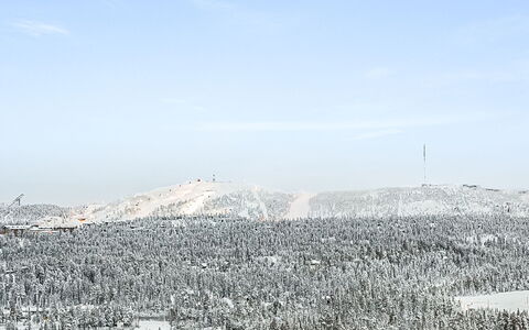 Aino: Holz, Hütte, Blockhaus, Wald, Schuppen, Gartenbauten, Lärche, Wald, Holzbeize