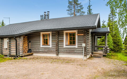 Kieppi B: Holz, Hütte, Blockhaus, Wald, Schuppen, Gartenbauten, Lärche, Wald, Holzbeize