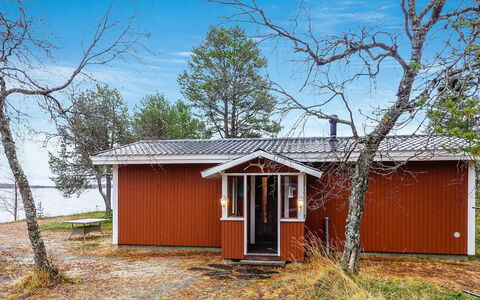 Mellaniemi: Holz, Hütte, Blockhaus, Wald, Schuppen, Gartenbauten, Lärche, Wald, Holzbeize