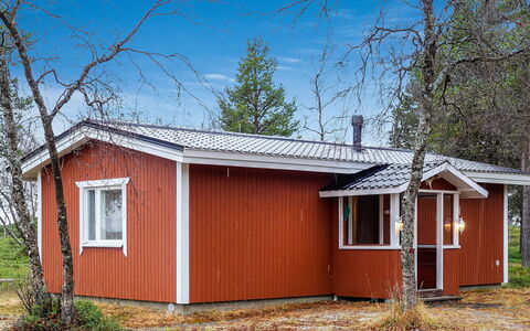 Mellaniemi: Holz, Hütte, Blockhaus, Wald, Schuppen, Gartenbauten, Lärche, Wald, Holzbeize