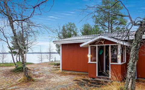 Mellaniemi: Holz, Hütte, Blockhaus, Wald, Schuppen, Gartenbauten, Lärche, Wald, Holzbeize