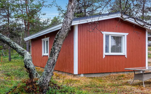Mellaniemi: Holz, Hütte, Blockhaus, Wald, Schuppen, Gartenbauten, Lärche, Wald, Holzbeize