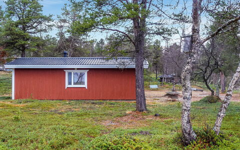 Mellaniemi: Holz, Hütte, Blockhaus, Wald, Schuppen, Gartenbauten, Lärche, Wald, Holzbeize