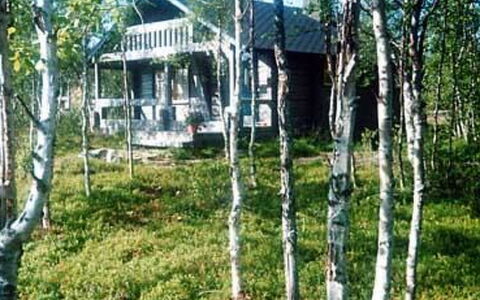 Juolukka: Baum, Holz, Wald, Wald, Kofferraum, Hütte, Birke, Hain, Blockhaus