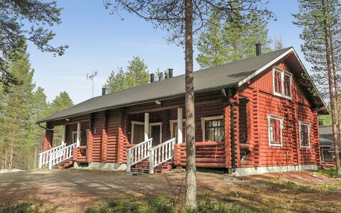 Levintähkä B: Holz, Hütte, Blockhaus, Wald, Schuppen, Gartenbauten, Lärche, Wald, Holzbeize