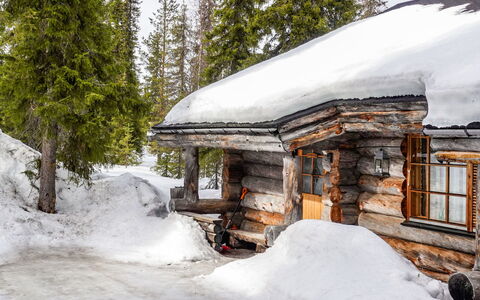 Kelo-Ville: Holz, Schnee, Winter, Hütte, Einfrieren, Zuhause, Blockhaus, Lärche, Abstellgleis