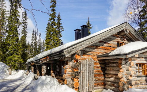 Kelo-Ville: Holz, Schnee, Winter, Hütte, Einfrieren, Zuhause, Blockhaus, Lärche, Abstellgleis