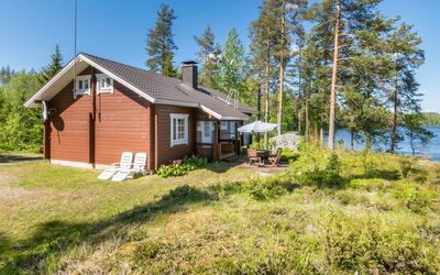 Pajulintu