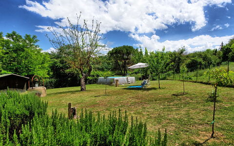 Villa Diletta: Natürliche Landschaft, Vegetation, Grün, Eigentum, Grundstueck, Wiese, Gras, Naturschutzgebiet, Weide, Natürlichen Umgebung