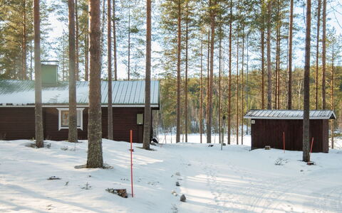 Aittolahti 2: Holz, Hütte, Blockhaus, Wald, Schuppen, Gartenbauten, Lärche, Wald, Holzbeize