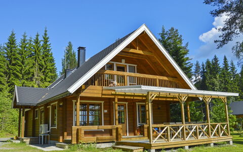 Rinnepelto: Holz, Hütte, Blockhaus, Wald, Schuppen, Gartenbauten, Lärche, Wald, Holzbeize
