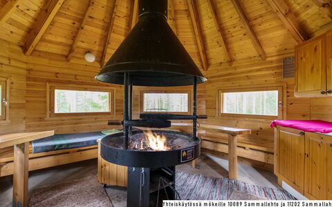 Sammallehto: Holz, Hütte, Blockhaus, Wald, Schuppen, Gartenbauten, Lärche, Wald, Holzbeize