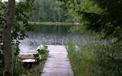 Pyöriäinen