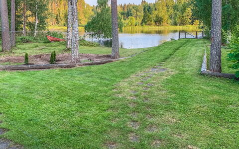 Majavanpesä: Gras, Strauch, Garten, Grundstueck, Rasen, Ground, Landscaping, Garten