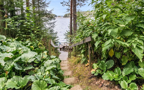 Iltarusko: Grün, Garten, Teich, Auwald, Gefäßpflanzen, Kraut