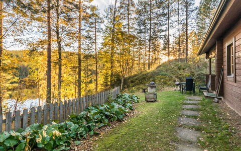 Suvituuli: Blatt, Holz, Strauch, Grundstueck, Hütte, Kofferraum, Frühling, Wald, Garten, Lärche