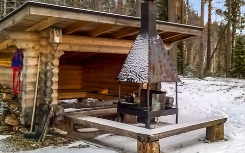 2233.: Holz, Schnee, Winter, Hütte, Einfrieren, Zuhause, Blockhaus, Lärche, Abstellgleis