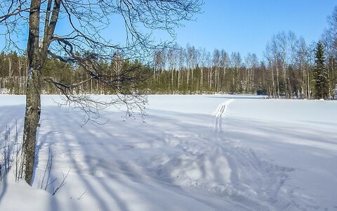 2234: Holz, Schnee, Winter, Hütte, Einfrieren, Zuhause, Blockhaus, Lärche, Abstellgleis