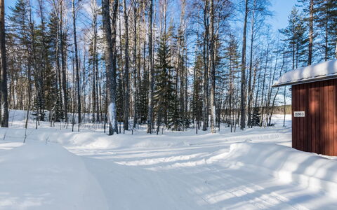 2234: Holz, Schnee, Winter, Hütte, Einfrieren, Zuhause, Blockhaus, Lärche, Abstellgleis