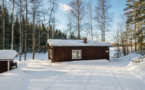 2235: Holz, Hütte, Blockhaus, Wald, Schuppen, Gartenbauten, Lärche, Wald, Holzbeize