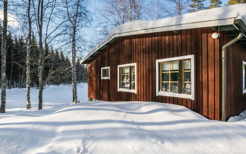 2235: Holz, Hütte, Blockhaus, Wald, Schuppen, Gartenbauten, Lärche, Wald, Holzbeize