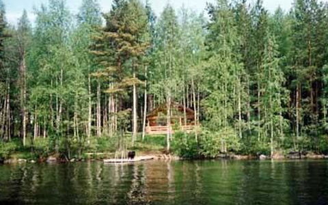 5816: Wasser, Wasservorräte, Gewässer, Baum, Natürlichen Umgebung, Natur, Wasserweg, Wald, Bank, Wasserlauf