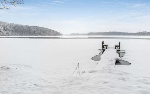 Hepolehto: Holz, Hütte, Blockhaus, Wald, Schuppen, Gartenbauten, Lärche, Wald, Holzbeize