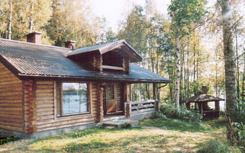 Hepolehto: Holz, Hütte, Blockhaus, Wald, Schuppen, Gartenbauten, Lärche, Wald, Holzbeize