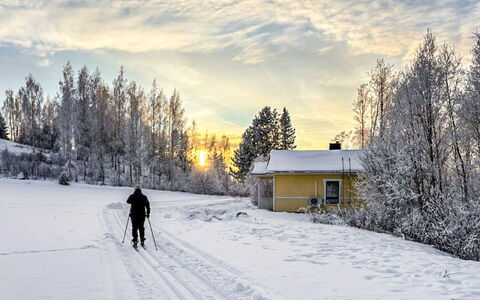 Villa-Lyydia: Schnee, Winter, Baum, Einfrieren, Morgen, Steigung, Lärche, Eis, Abend, Frost