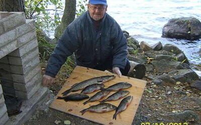 Lohikärki