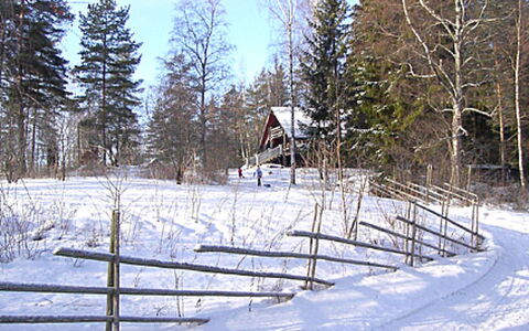 Villa Vuorikotka: Hütte, Haus, Zuhause, Gartenbauten, Abstellgleis, Blockhaus, Bauernhaus, Estate, Schuppen, Garten