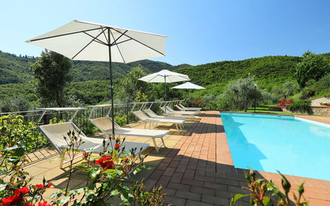 Zen: Schwimmbad, Eigentum, Resort, Urlaub, Botanik, Freizeit, Gebäude, Schatten, Haus, Baum