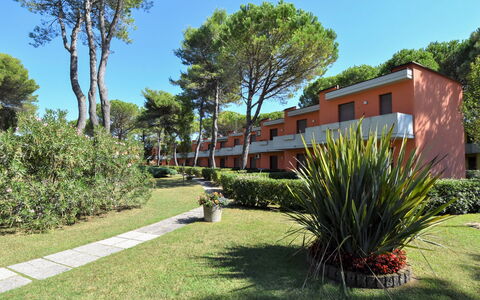 Bibione 380: Pflanze, Himmel, Daytime, Pflanzengemeinschaft, Baum, Blatt, Grundstueck, Schatten, Arecales, Natürliche Landschaft