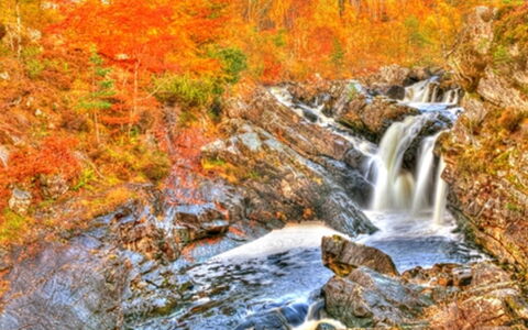 Inverness 101: Wasser, Pflanze, Blatt, Natürliche Landschaft, Ast, Baum, Wasserlauf, Wasserfall, Frühling