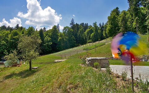 Egggraben: Gras, Biome, Baum, Himmel, Wiese, Wiese, Gebirge, Erholung, Sommer, Grundstueck