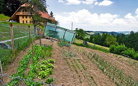 Egggraben: Natürliche Landschaft, Bauernhof, Ländliches Gebiet, Feld, Graspflanze, Himmel, Landschaft, Landwirtschaft, Pflanze, Gras