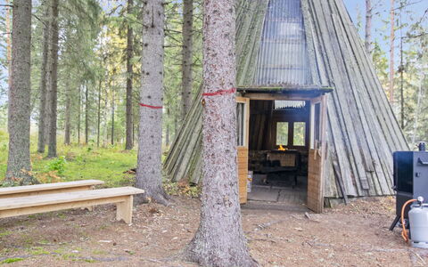 Niemenkärki, Vaikon Loma 8: Holz, Hütte, Blockhaus, Wald, Schuppen, Gartenbauten, Lärche, Wald, Holzbeize