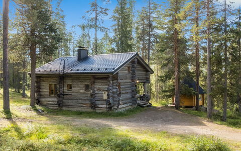 Ukkohermanni: Baum, Holz, Hütte, Wald, Blockhaus, Wald, Hütte, Lärche, Kofferraum