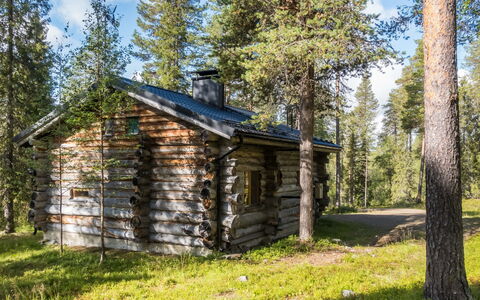 Ukkohermanni: Baum, Holz, Wald, Hütte, Schuppen, Blockhaus, Wald, Kofferraum, Lärche