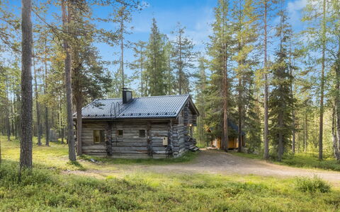 Ukkohermanni: Baum, Holz, Hütte, Wald, Hütte, Lärche, Wald, Blockhaus, Kofferraum
