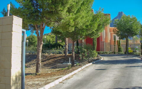 Villa Orquideas: Pflanze, Himmel, Blau, Strassenbelag, Baum, Schatten, Gebäude, Ast, Asphalt, Grundstueck