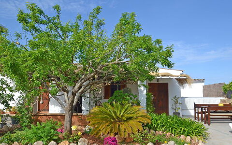 Can Niu: Eigentum, Baum, Grundeigentum, Haus, Pflanze, Botanik, Zuhause, Gebäude, Landschaft, Blume