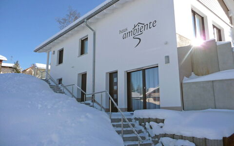 Ambiente: Gebäude, Fenster, Himmel, Schnee, Steigung, Einfrieren, Pflanze, Wohngebiet, Haus, Grundeigentum