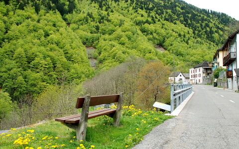 Vergeletto 100: Natur, Vegetation, Baum, Frühling, Gras, Berg, Bergstation, Ländliches Gebiet, Pflanze, Bank