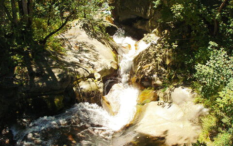 Vergeletto 100: Wasser, Pflanze, Natürliche Landschaft, Frühling, Wasserfall, Sonnenlicht, Wasserlauf, Baum