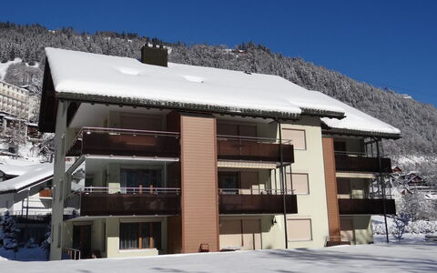 Engelberg 787: Winter, Schnee, Einfrieren, Glazialmorphologie, Bergdorf, Balkon, Daylighting, Alpen