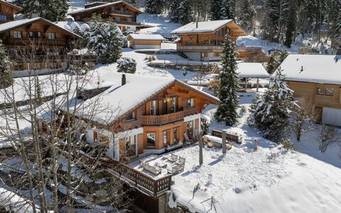 Chalet Petit Pont: Baum, Haus, Zuhause, Hütte, Dach, Schnee, Winter, Bergstation, Lärche, Dorf