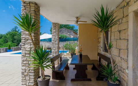 Šterna: Pflanze, Eigentum, Blumentopf, Zimmerpflanze, Himmel, Interior Design, Schatten, Arecales, Gras, Grundeigentum