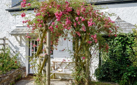 Thrift Cottage: Blume, Pflanze, Haus, Baum, Wand, Frühling, Botanik, Hütte, Garten, Strauch